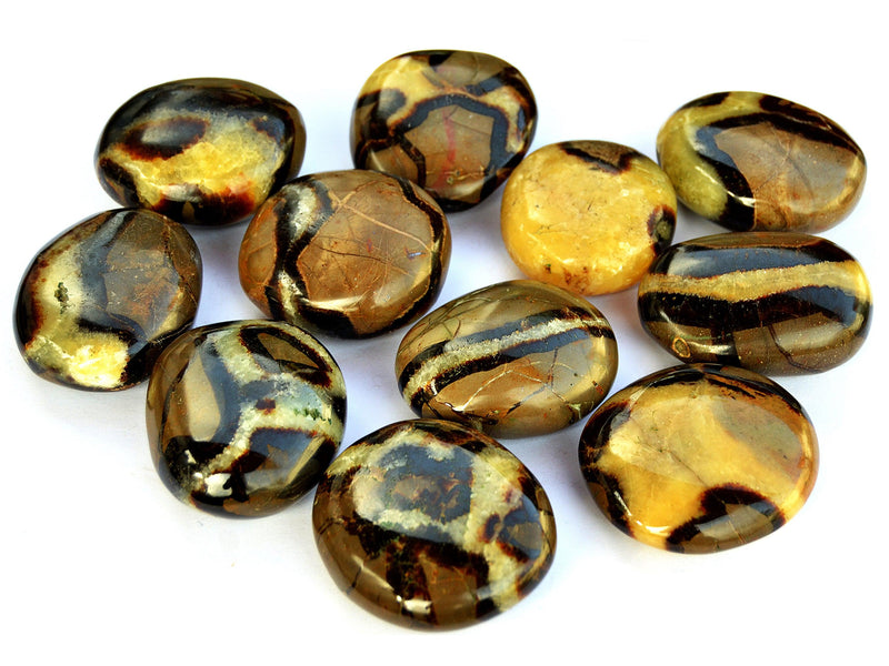 Several yellow septarian palm stones 40mm-70mm on white background