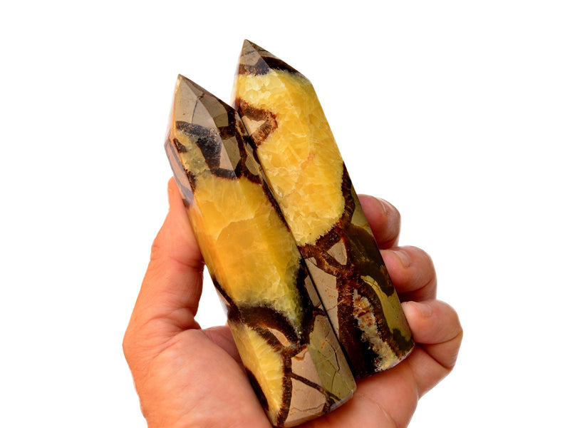 Two yellow septarian towers 120mm on hand with white background