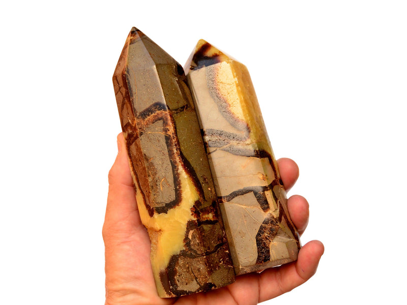 Two large yellow septarian obelisks 140mm on hand with white background