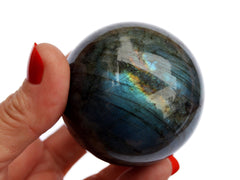 One blue labradorite sphere crystal 50mm on hand with white background