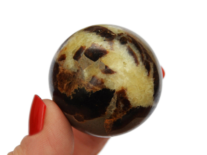 One yellow septarian sphere crystal 55mm on hand with white background