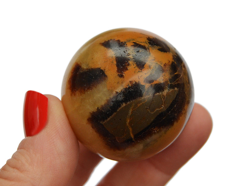One yellow septarian sphere crystal 45mm on hand with white background