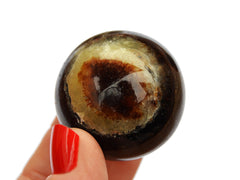 One yellow septarian crystal sphere 40mm on hand with white background