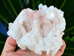 One raw big quartz crystal cluster on hand with background with green plants