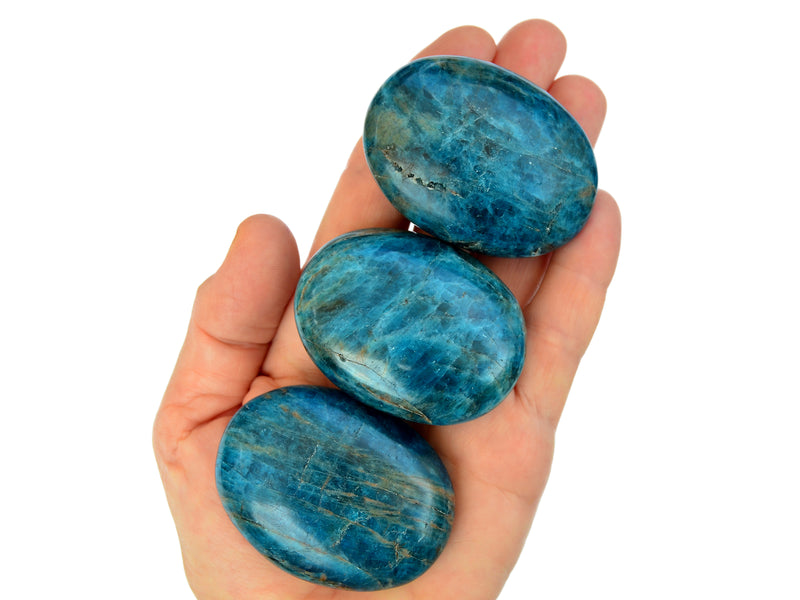 Three blue apatite palmstones 55mm on hand with white background