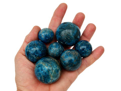 Seven blue apatite spheres 25mm-45mm on hand with white background