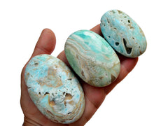 Three blue aragonite plam stones 50mm-80mm on hand with white background