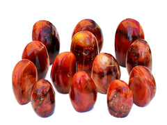 Natural Carnelian Free Form (3-5 Pcs) Lot 1 Kg - Kaia & Crystals