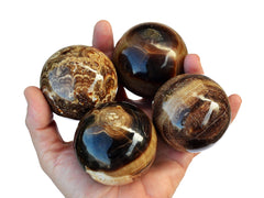 Four chocolate calcite sphere stones 50mm-60mm on hand with white background