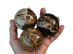 Three banded chocolate calcite sphere stones 50mm-60mm on hand with white background