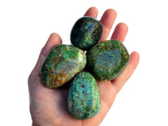 Four large green chrysocolla tumbled crystals on hand with white background