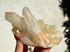 One large quartz crystal cluster on hand with white background and some plants