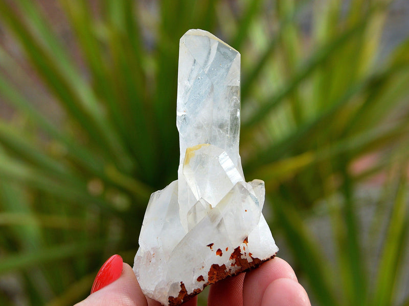 One small raw crystal point on hand with background with green plants