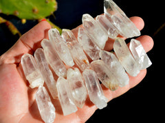 Several raw crystal points on hand with background with plants