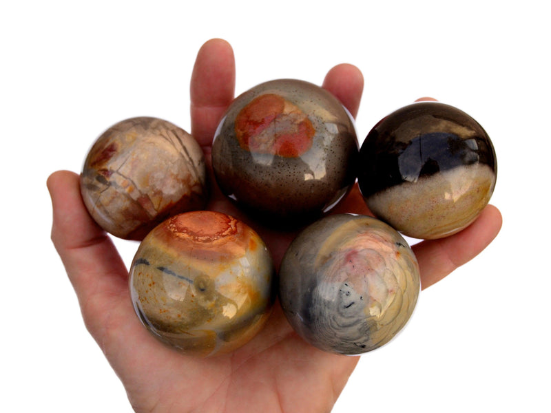 Six polychrome multicolor jasper sphere crystals 50mm - 55mm on hand with white background