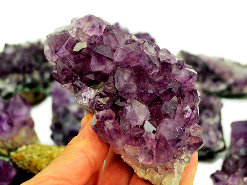 Brazilian druzy amethyst on hand with background with some crystals on white