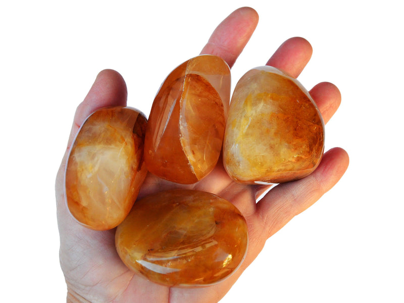 Four large golden healer quartz tumbled crystals on hand with white background