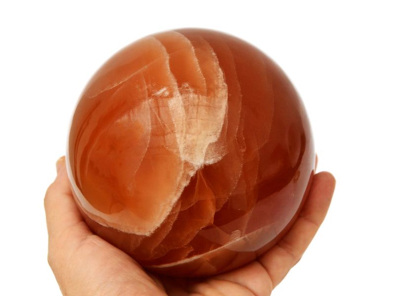 Extra large honey calcite sphere 100mm on hand with white background