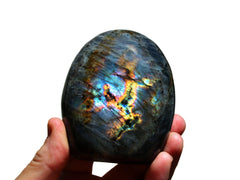 Wholesale Lot of Labradorite Free Form (4-6 Pcs) 1 Kg - Kaia & Crystals