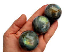 Three labradorite spheres 25mm-40mm on hand with white background