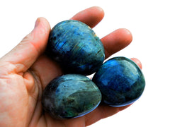 Three big blue labradorite tumbled stones on hand with white background