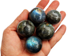 Five labradorite crystal spheres 25mm-40mm on hand with white background