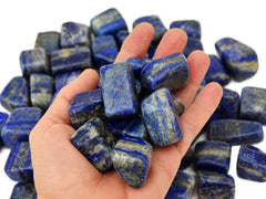 Some lapis lazuli tumbled crystals on hand with background with several tumbled on white