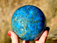 One large blue apatite sphere 95mm on hand wiith straw background