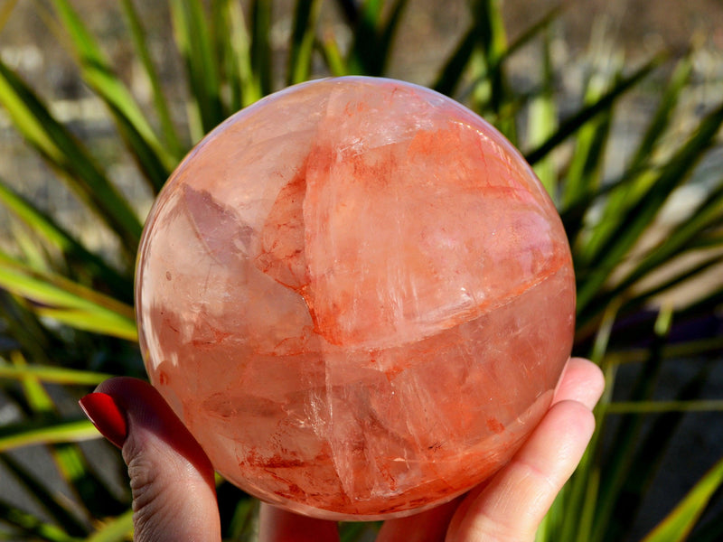 One large fire quartz crystal sphere 100mm on hand with background with green plants
