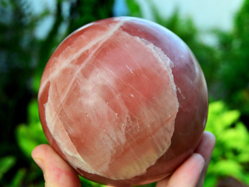 Extra large rose calcite sphere crystal 95mm on hand with background with green plants