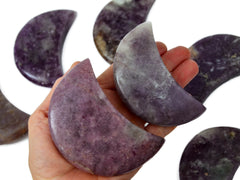 Two purple lepidolite moon crystals 85mm-90mm on hand with background with some crystals on white