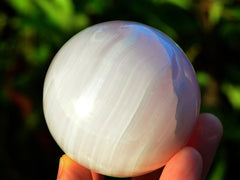 One large pink mangano calcite sphere 75mm on hand with background with green plants