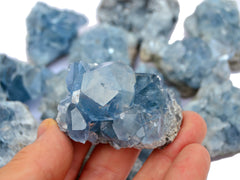 One mini celestite cluster on hand with background with some crystals