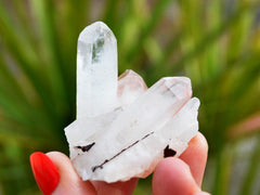 One small rough quartz crystal cluster on hand with background with green plants