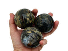 Three ocean jasper crystal spheres 55mm-60mm on hand with white background