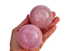 Two big rose quartz sphere crystals 55mm - 60mm on hand with white background
