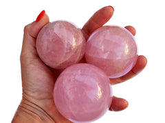 Three large pink quartz sphere crystals 50mm-65mm on hand with white background