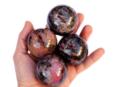 Four rhodonite sphere crystals 50mm-55mm on hand with white background
