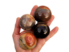 Four polychrome multicolor jasper sphere crystals 50mm - 55mm on hand  with white background