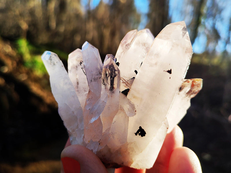 One rough quartz cluster on hand with forest background