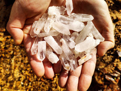 Several mini raw crystal points on hand with water background