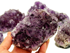 Druzy Amethyst Kristall (Brasilien) AAA+ Qualität (250g - 500g)