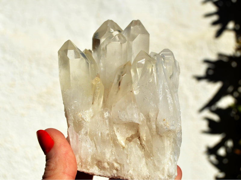 One chunky quartz crystal cluster on hand with white background and some plants