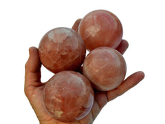 Four rose calcite spheres 55mm-60mm on hand with white background