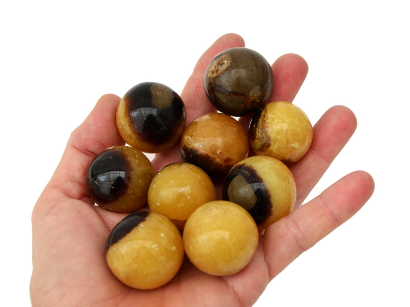 Some yellow septarian sphere crystals 25mm-35mm on hand with white background