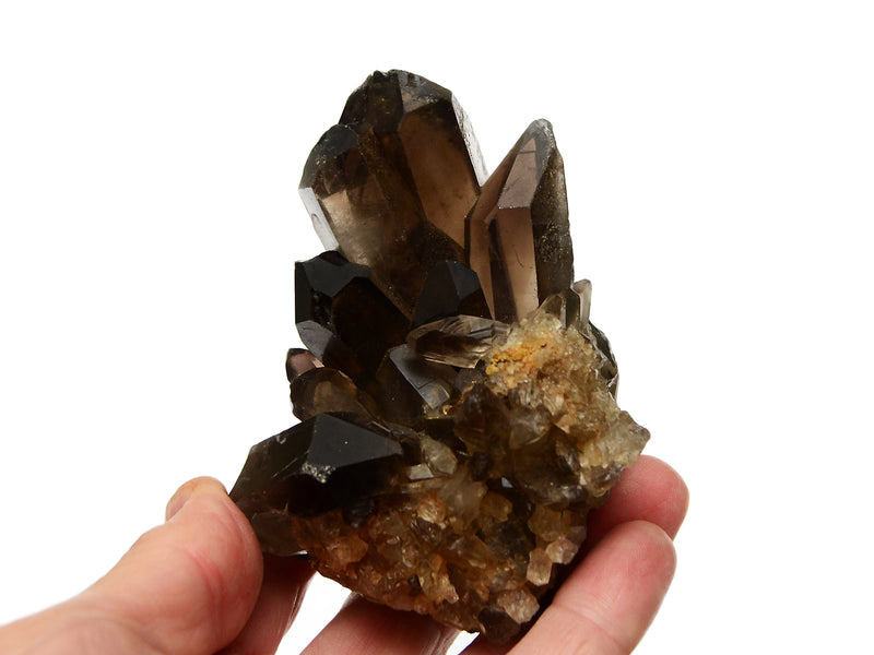 Smoky quartz crystal cluster 100mm on hand with white background