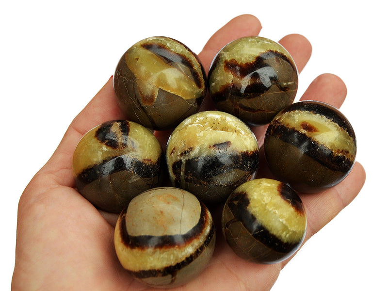 Several yellow septarian crystal spheres 25mm - 40mm on hand with white background