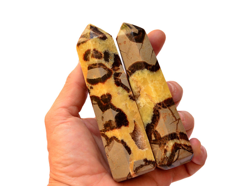 Two yellow septarian towers 100mm on hand with white background