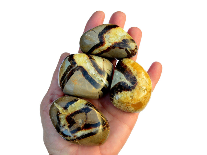 Four big yellow septarian tumbled crystals on hand with white background