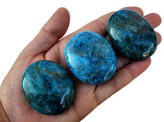 Three large blue apatite palm stones different sizes on hand